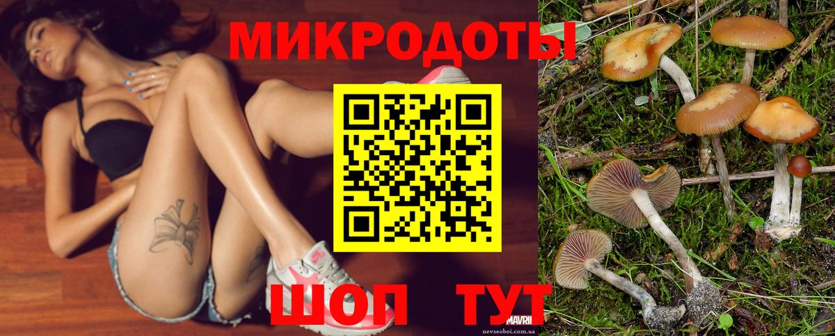 Галлюциногенные грибы прущие грибы Киреевск